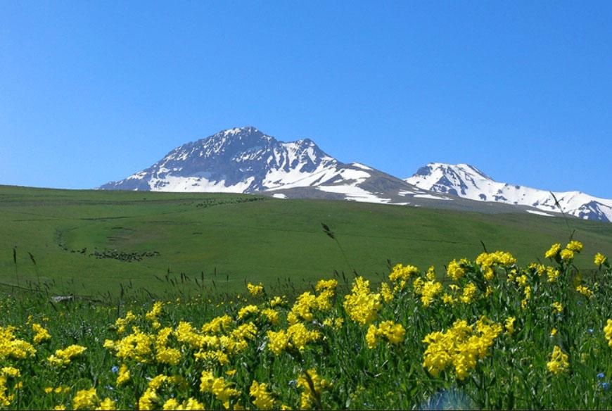 Гора арагац армения